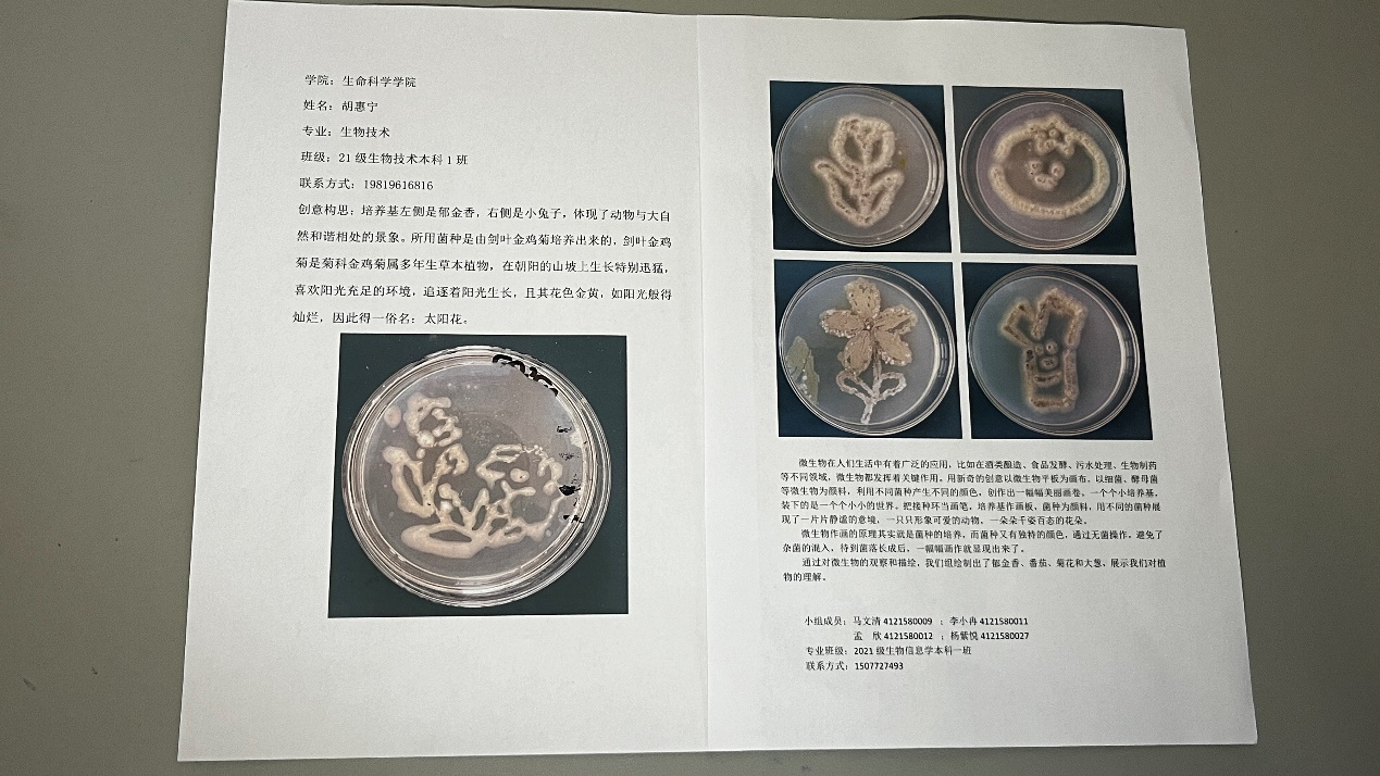 太阳成tyc122cc